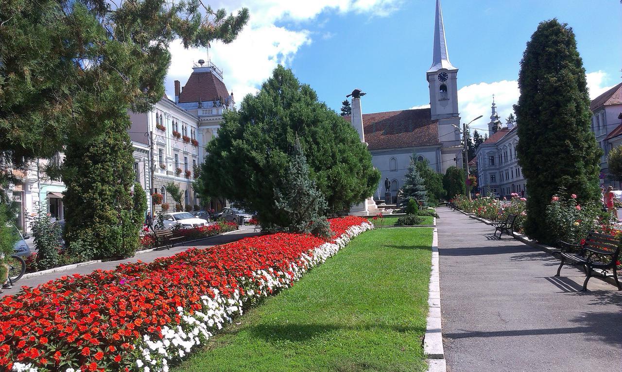 Korona Panzio Bed and Breakfast Odorheiu Secuiesc Buitenkant foto